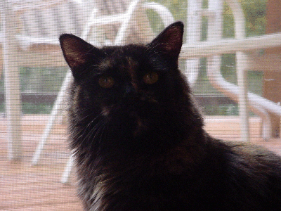 Chloe is a sexy bitch!@111